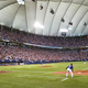 Illustration for article titled Why Your Stadium Sucks: Hubert H. Humphrey Metrodome